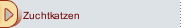 Zuchtkatzen